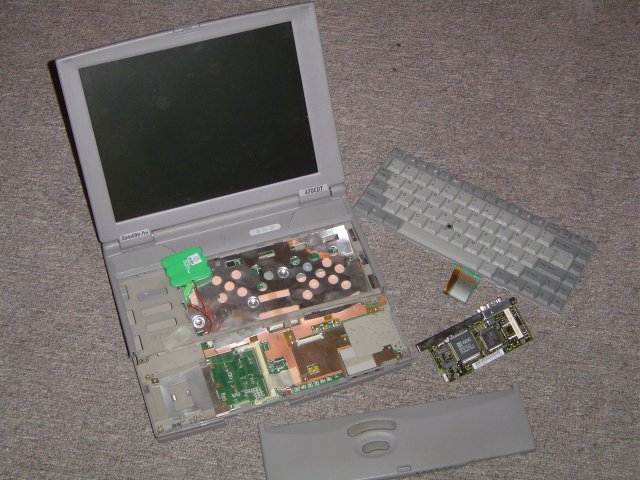 passion_6526.jpg
