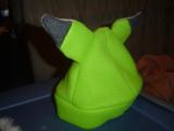 DSC00607