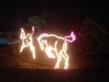 20081227-Zoolights