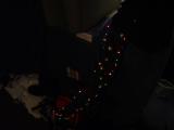 DSC04858