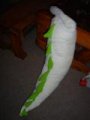 DSC05937